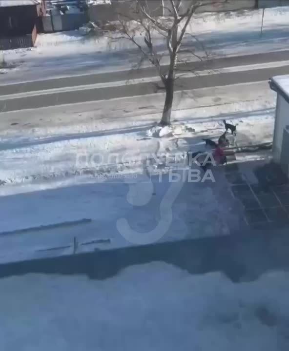 � ������ ���� ����� ������ �� �������