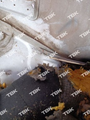 Крысы погрызли автомобиль красноярки