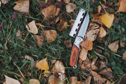 В Республике Хакасия заключен под стражу местный житель, обвиняемый в убийстве знакомого и покушении на убийство второго мужчины