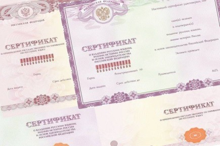 В Дивногорске суд аннулировал фиктивный экзамен по русскому языку для мигранта