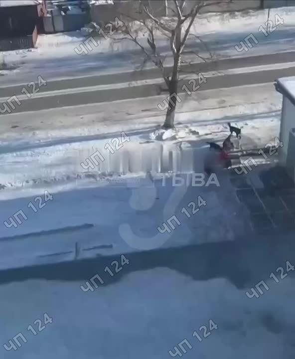 � ������ �� ����� �� ��������� ���� ���� ����� ���������� �� ���������� �������