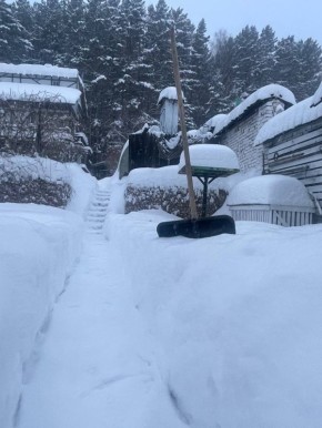 А снег идет… А снег идет!!