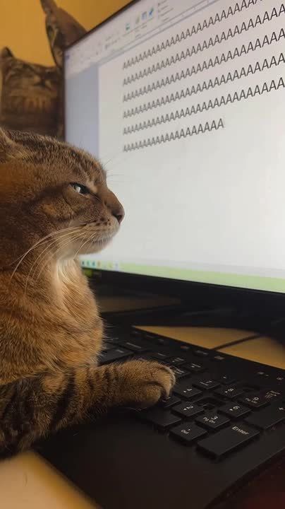 �������� ��������� ��� ������