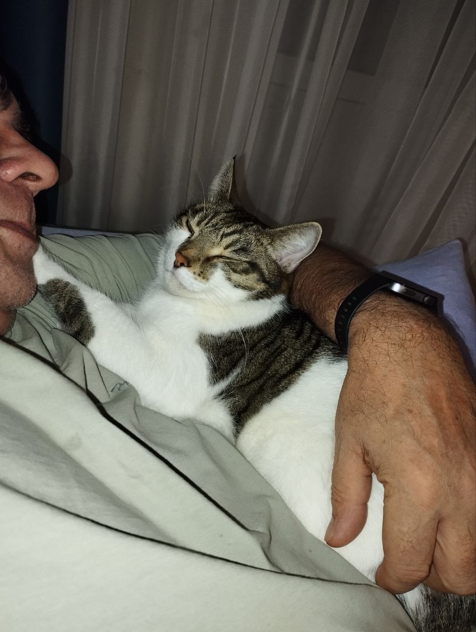 Нельзя просто взять, опубликовать котика — и на этом остановиться Нельзя просто взять, опубликовать котика — и на этом остановиться