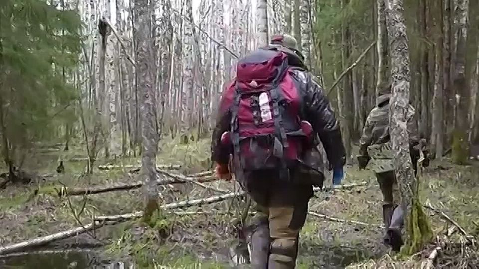 �������� ��������� �����. � ����������� ������ ������������� �������� ������ ������