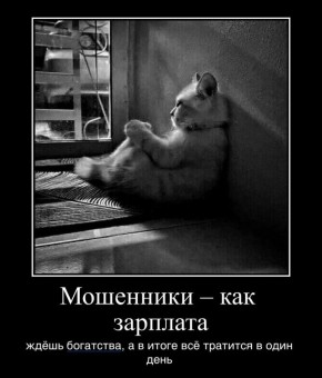 Помните те самые мемы-демотиваторы?