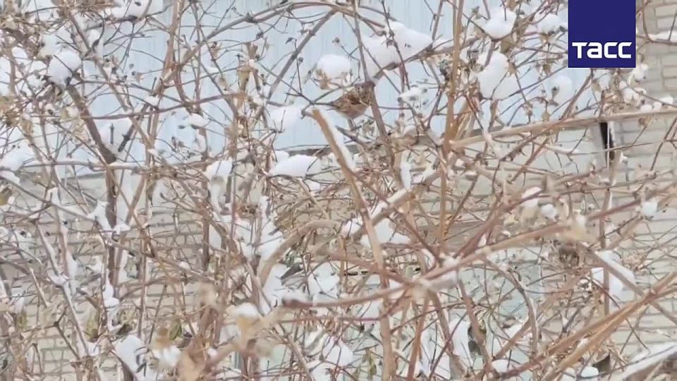 ������� ����������� �� ����� 33 ��������, ��������� � �������� ����� �� 20 �/ ��������� � �������� ���, �������� ������������� ��