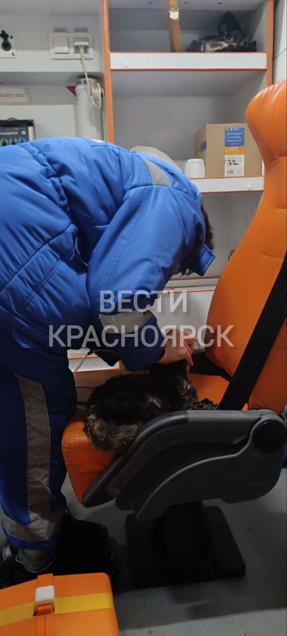 Крупный пожар в клинике льготной ветеринарии произошел сегодня ночью в Берёзовке Крупный пожар в клинике льготной ветеринарии произошел сегодня ночью в Берёзовке