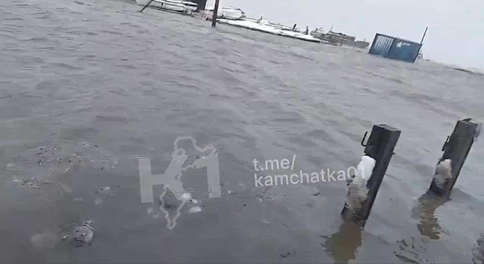 ������������� � ������ ������ ���������� �� ��������