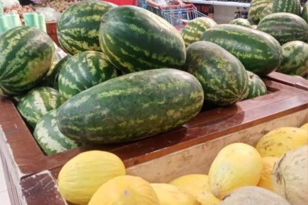 Как правильно хранить фрукты и овощи: 10 продуктов, которым холод не нужен