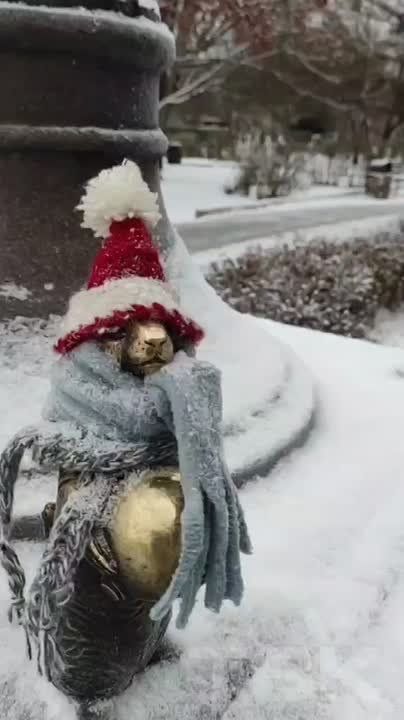 ������ ����!. ��� �� �������, ��� ������-��������� �����