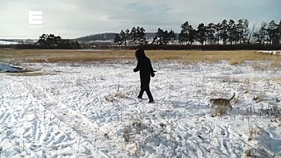 ���-������ �� ��� ���� ������������ �� ������ � ������ ���