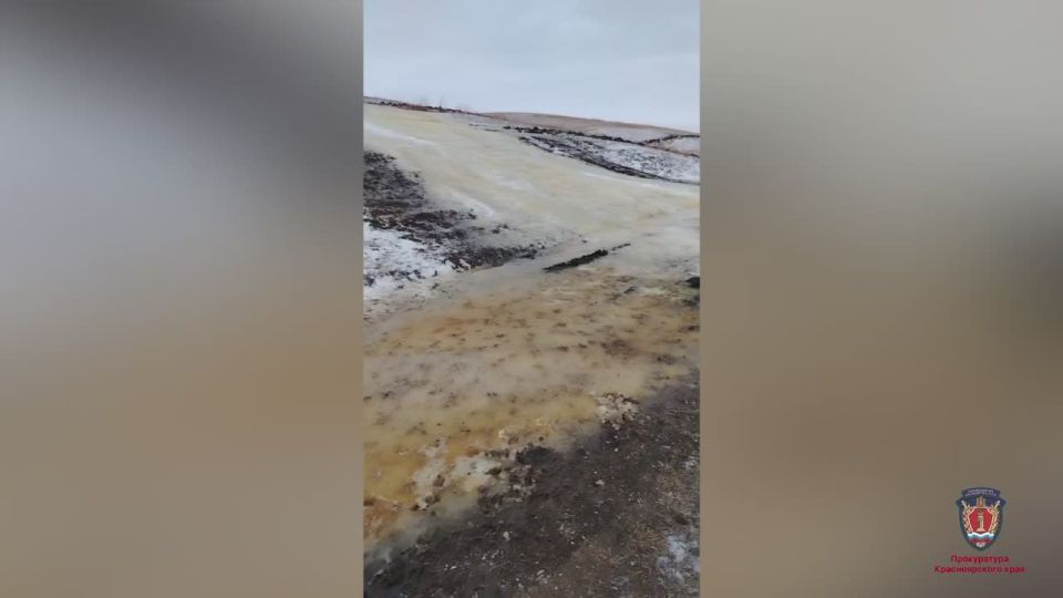 ����������� ������������ �������� � ����� � �������� ������� ��������� ��� �� ����������� ����� � �. �������� �����������-�������������� �������������� ������