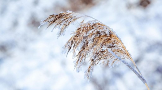 Какая погода ждет красноярцев в выходные?