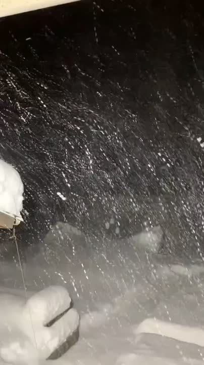 ��� �� ���� ������ ����� ����������