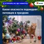 Осторожно, кот, идет Новый год! Какие опасности поджидают питомцев в праздник
