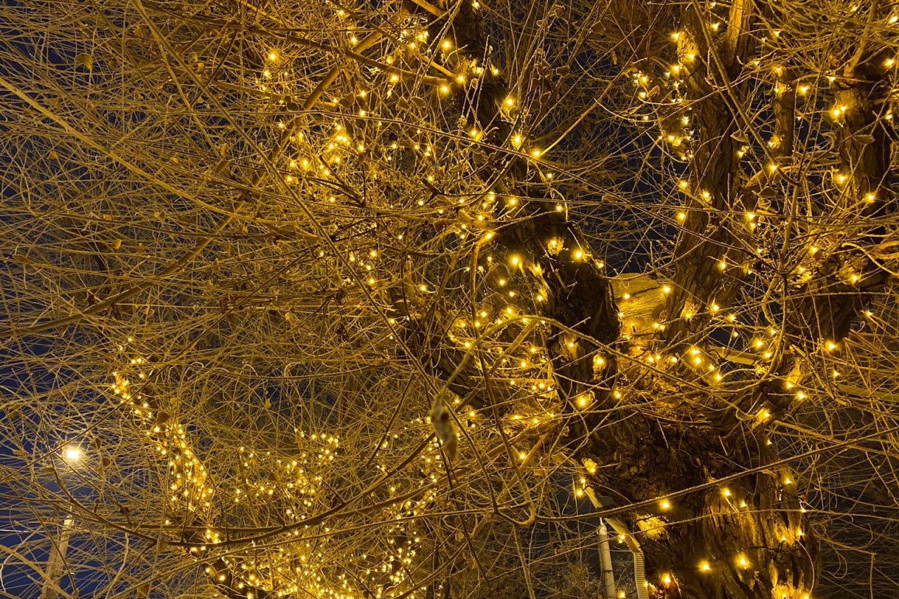 В мэрии рассказали, как украсят Красноярск к Новому году В мэрии рассказали, как украсят Красноярск к Новому году