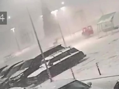 Ветер повалил елку в Преображенском