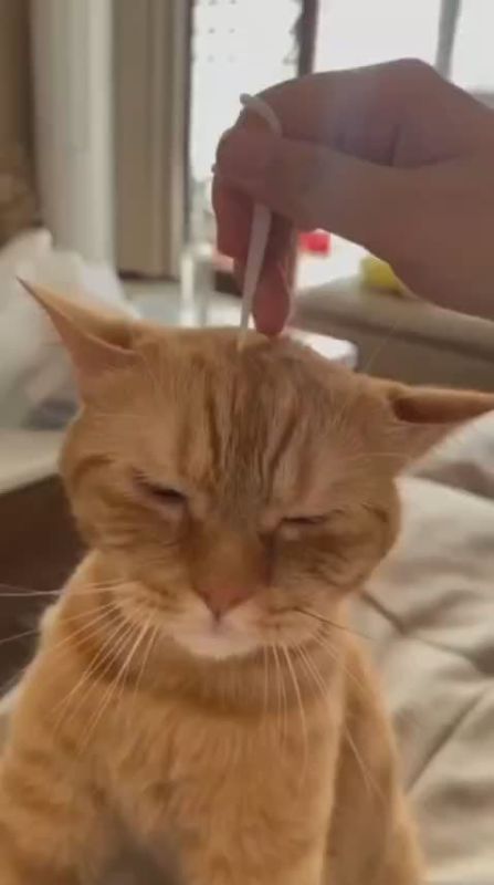 �������-�� ��������. ���