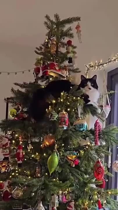 ����� �� ���� �����. ��� ���� ��� � ���� ���