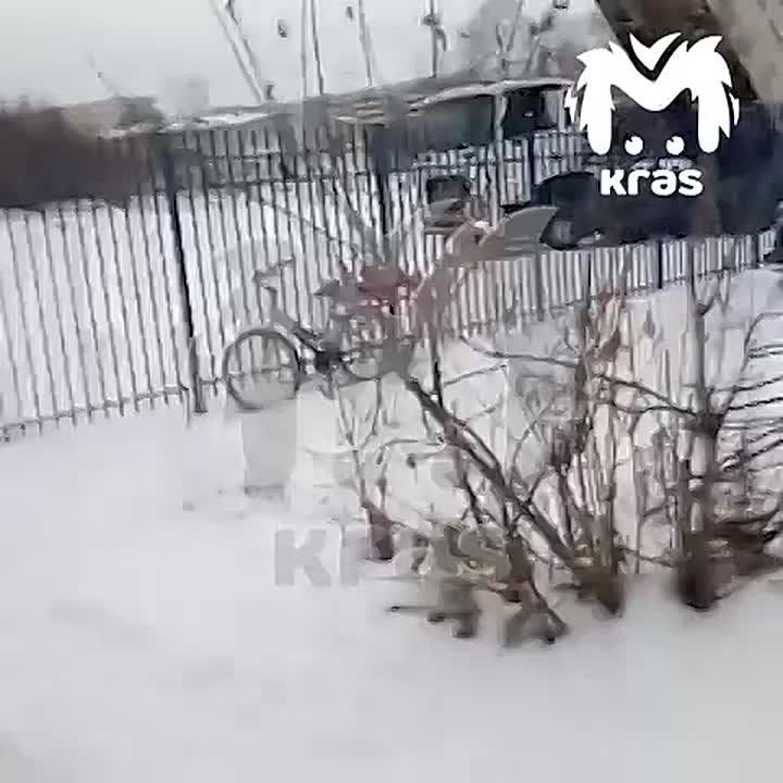 ������� ���� ���������� � ������ �������� � �������������