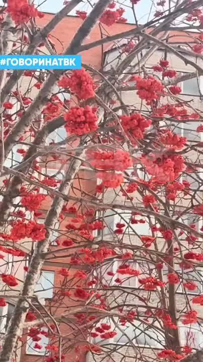 ������� �� ���� �������� ����������