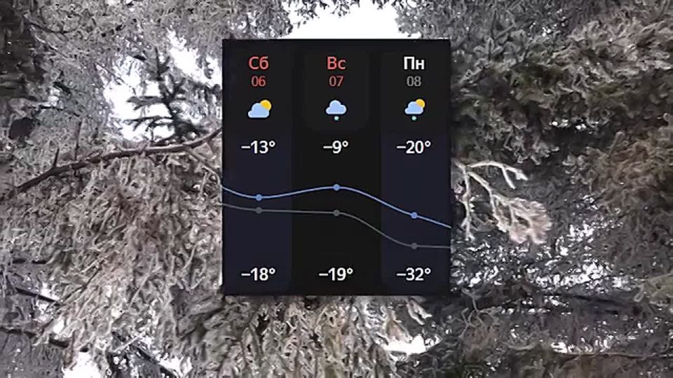 ������ ������������. ������ ����������� �������� � ����������� ����� ����������� � ��������