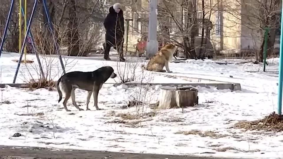 ���� ������������� ��������� �������� �������� ���������� � ��������� ������