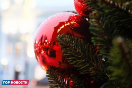 Главные Gornovosti недели: прямая линия с губернатором, подготовка к Новому году, строительство Богородице-Рождественского собора и шлагбаумы в Татышев-парке