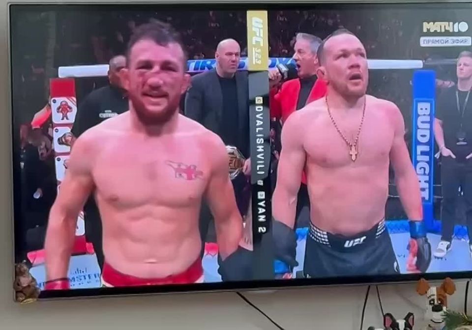 ��� ���������� ����, ϸ�� �� �� �������, �� ������ ������������� ����, ������ ���� ����������� ���� � UFC � ���������� � ����� �������� � ������� ����������