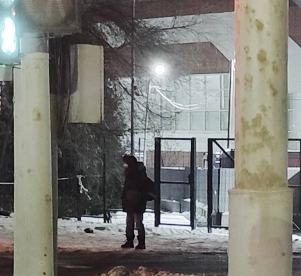 "Если человек потерялся ночью зимой, до утра он не доживёт": замерзающих в сугробах красноярцев будут спасать волонтеры отряда «Лиза Алерт»