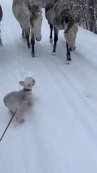 ��� ����� ���� ������ ������� ���� � �������� ������� ����, ������ �� ���� ��� ���