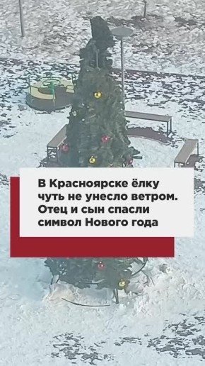 В Красноярске ёлку чуть не унесло ветром