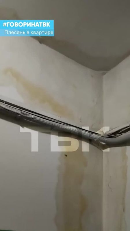 ������� � ������� � ��������