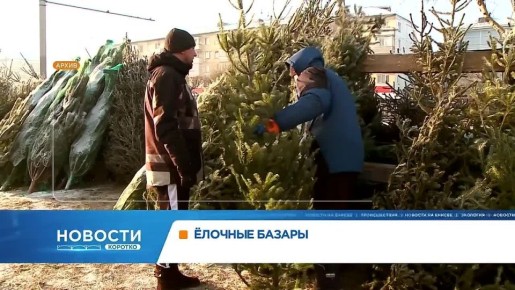 В Красноярске готовятся к открытию ёлочных базаров