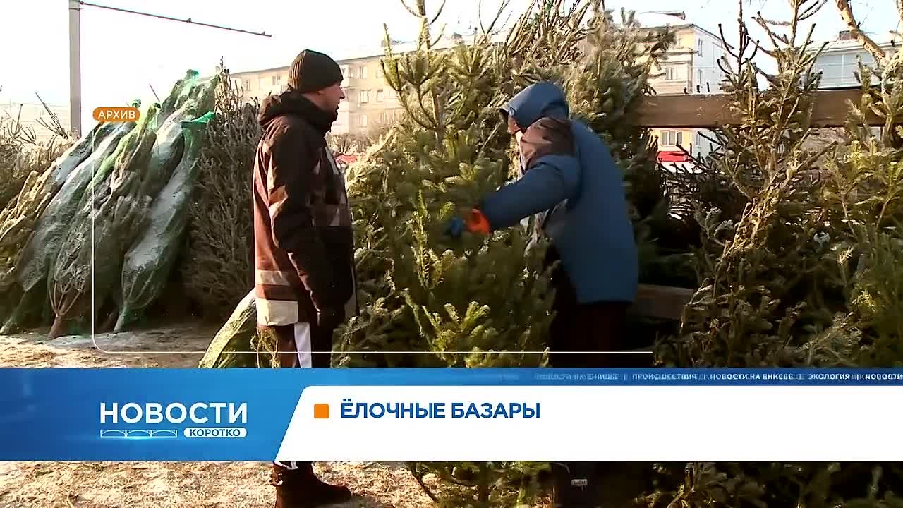 В Красноярске готовятся к открытию ёлочных базаров