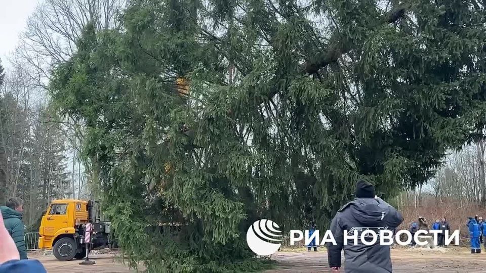 ������� ���������� ���� ������ ������� � �����������