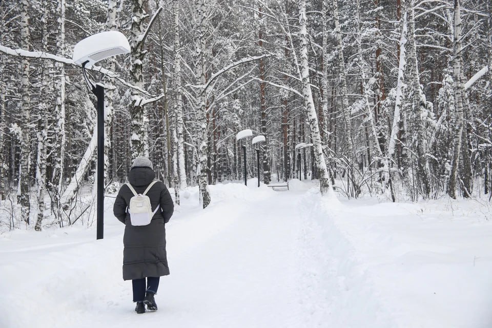 Красноярским школьникам рассказали, при каких морозах можно остаться дома