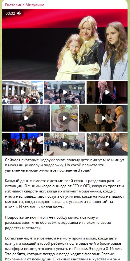 Мизулина заявила, что после блокировки Roblox дети пишут ей о желании уехать из страны