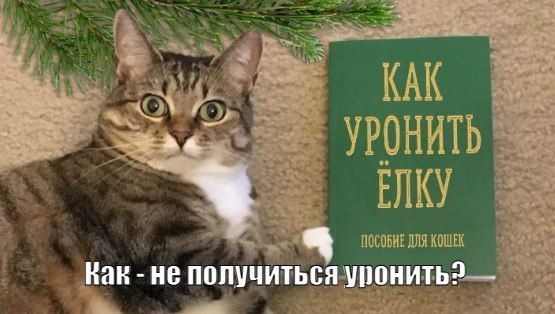 ��� ������ - ����-����������