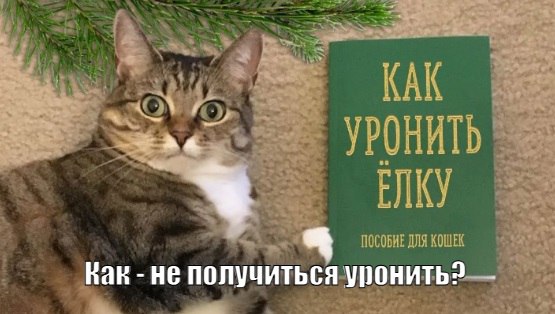 Хит сезона - елка-когтеточка