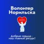 В День волонтера Глава Норильска запустил конкурс «Волонтер Норильска»