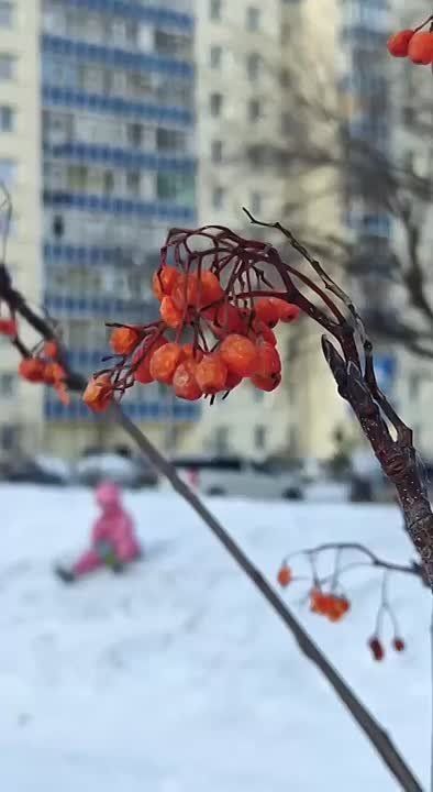 ������ �� 9 �������. ����� -32 ���