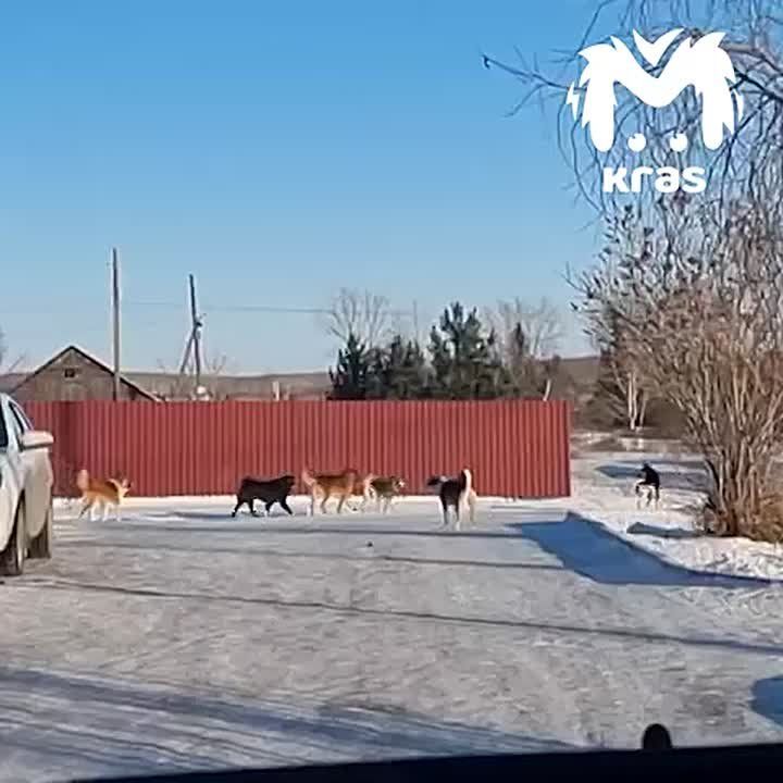 ���� �������� ����� ������ � ������ ������� �������������� ������