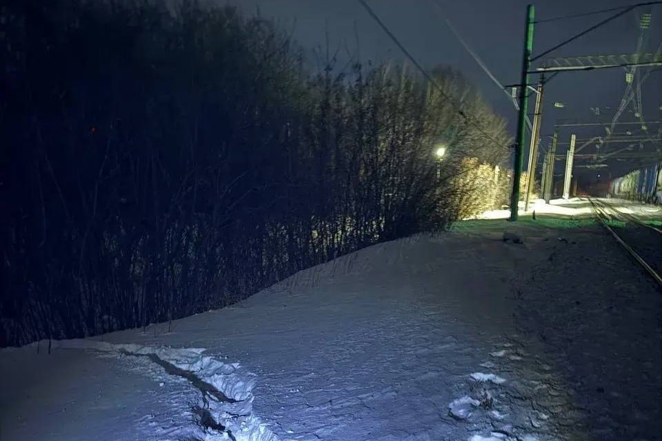 В Красноярском крае грузовой поезд сбил пьяного мужчину