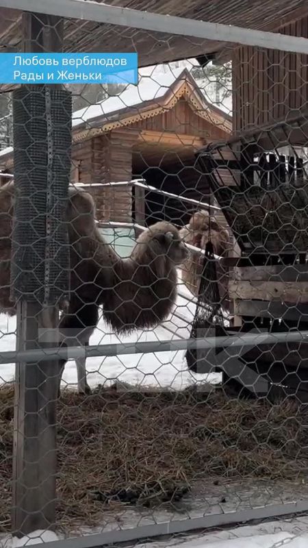 ���� � ������ �� ������ ������ ����� ����� ����������� ����� ������� ������