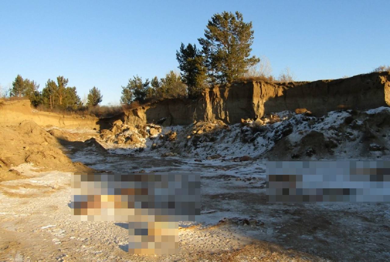 У фермера из Хакасии похитили и забили скот на 1,4 миллиона