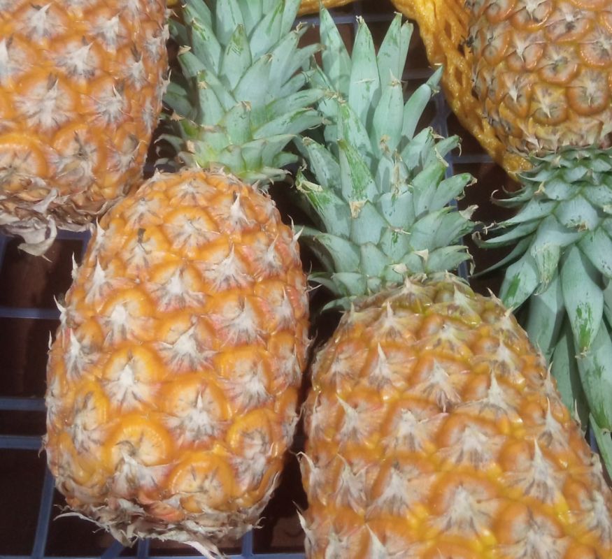 ������������ ���������������� �������� ����� ���� ���� �������� � ����������