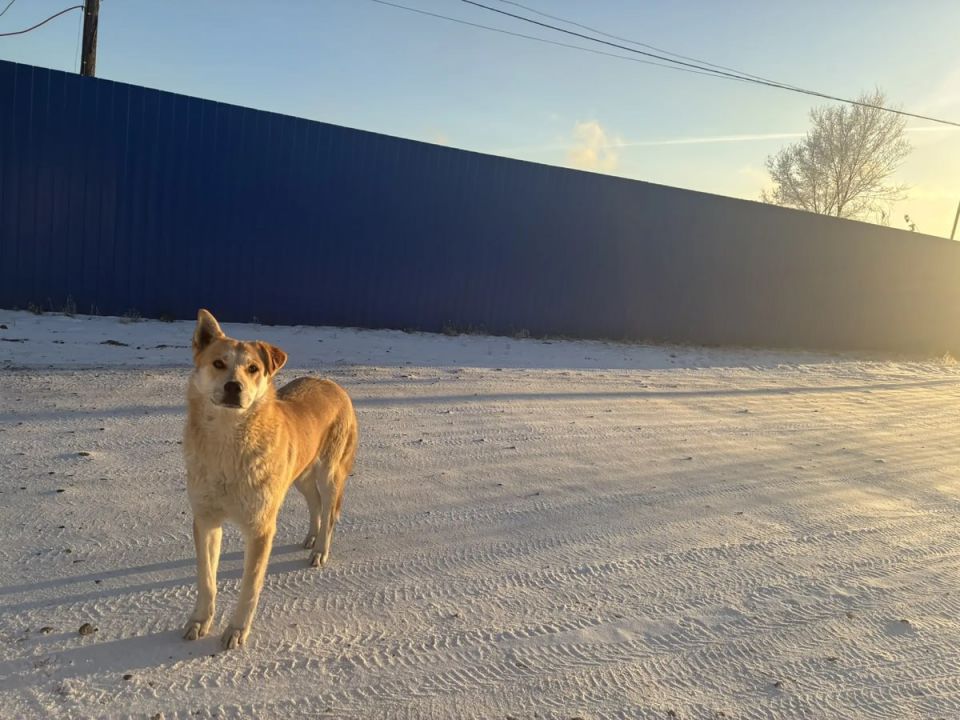 � ����������� �� ��� �������� 1169 ��������� �����