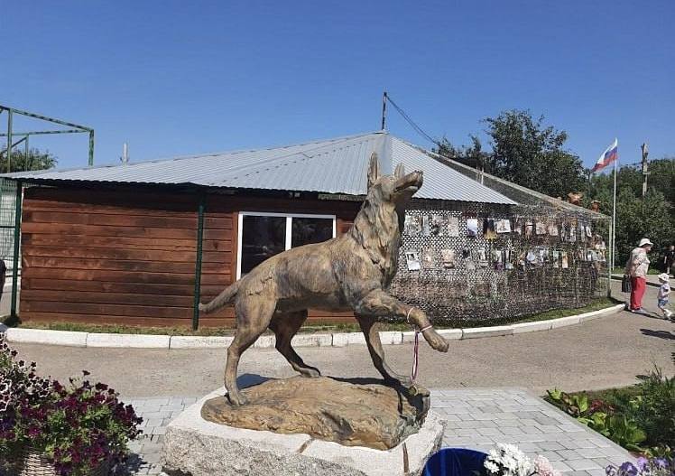 День Героев Отечества: храбрость и верность четвероногих друзей День Героев Отечества: храбрость и верность четвероногих друзей